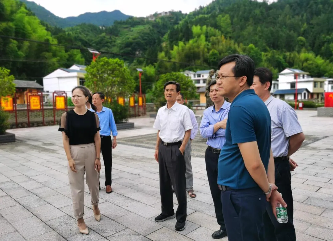 1602344004459626.jpg 1602344004459626.jpg