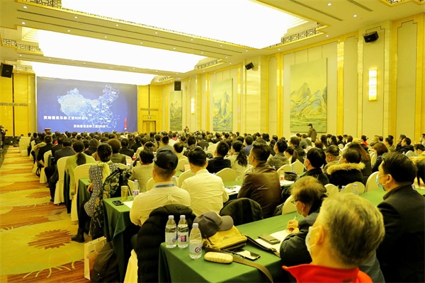 1617026024615297.jpg 2.jpg